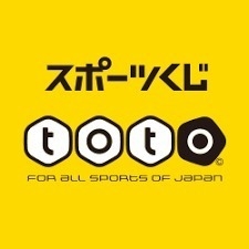 サッカーW杯　totoにチャレンジ　試合予想と買い方