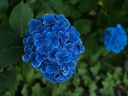 梅雨の湿度と心の状態　エアコンをうまく使おう